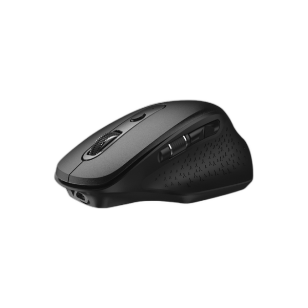 WINX DO More Wireless & Bluetooth Mouse